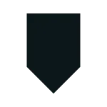 Defend SVG Icon